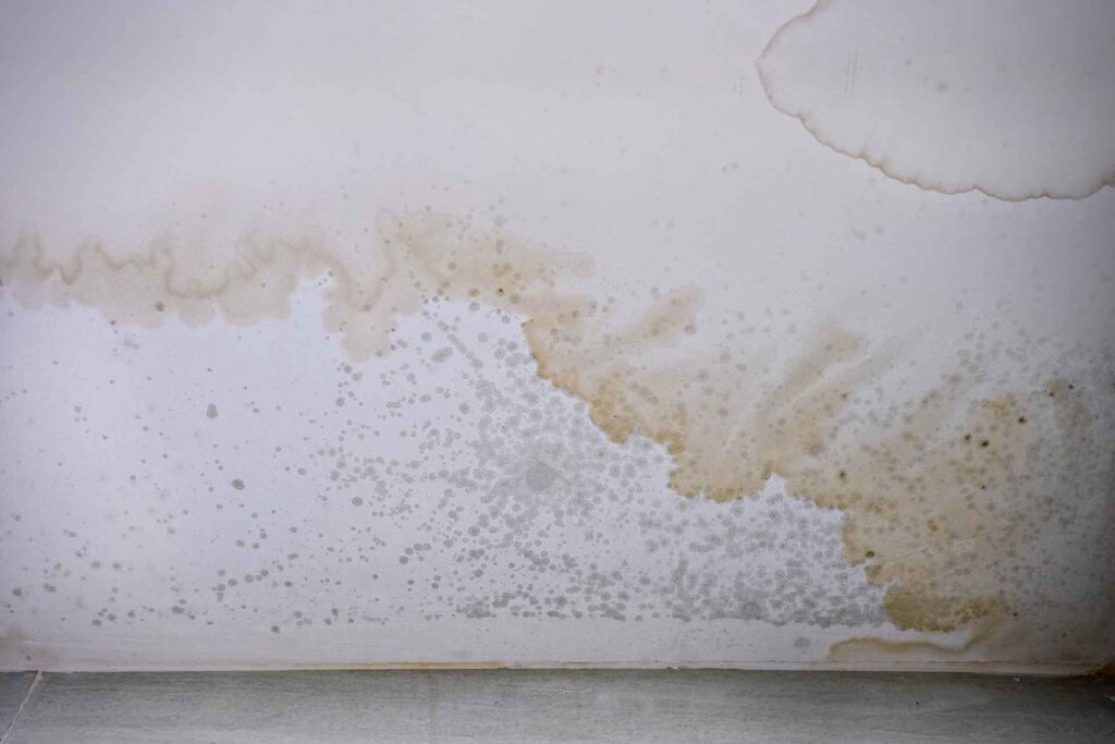 Diagram showing hidden moisture behind drywall after a water leak.